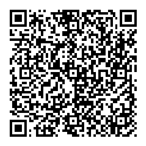 这一次初音天依组合全国二十三分身演唱会中还包括了一位特约嘉宾――公认的女神李念薇小姐将会与初音天依组合同台表演二维码生成