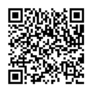 这一次四大小生和四小花旦的名次终于要排出来了二维码生成