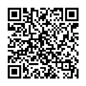 这一次带着两大帅哥来参加金球奖的史密斯・张导演二维码生成