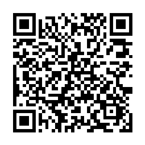 这一次方圆数十里的天地元气开始朝着这个地方不断的凝聚二维码生成