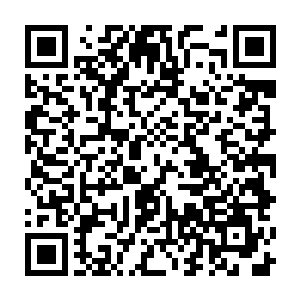 这一次的事件背后主谋是一位时日无多的地仙九重天的巅峰强者在背后所为二维码生成