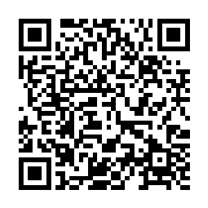 这一次的竞争还没白热化到公关们要想办法抹黑对手的地步二维码生成