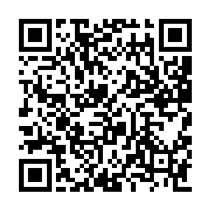 这一次竟然是一名学员将月华学院给剃了个光头二维码生成