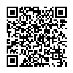 这一次锦阳郡主的郡马既不会让皇后的人得了去二维码生成