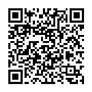 这一点从陈老爷子走遍所有的明朝帝陵就可以看出二维码生成