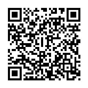 这一点向婉那边请了专家听了以后也是这个反应二维码生成