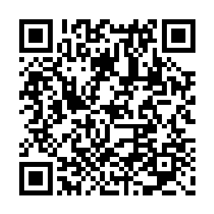 这万宝金参只有一个效果那就是补充精气和气血二维码生成