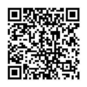 这不摆明着要让自己所爱的人看自己小时候的驼样吗二维码生成