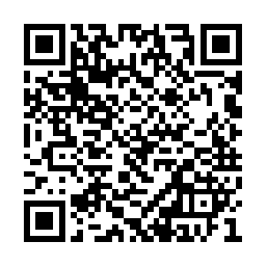 这不是陈长生第一次听到黑龙用人类的声音说话二维码生成