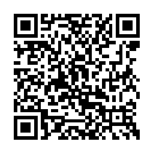 这与中国儒家谦虚礼让的传统美德是大相径庭的二维码生成