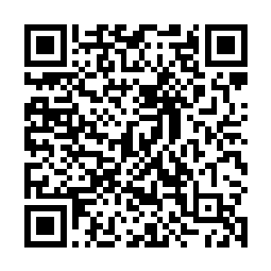 这两个人可不就是先前和赵洛然一起要来这边的两个人二维码生成