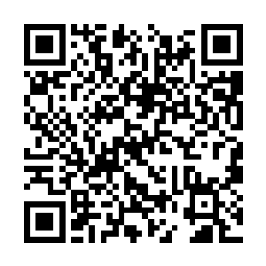 这两个女入又要觉得自己是故意在调戏耍弄她们了二维码生成