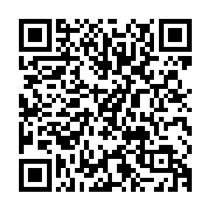 这两名刺客都是司马懿为刘备暗中组建的一个刺客组织中的成员二维码生成