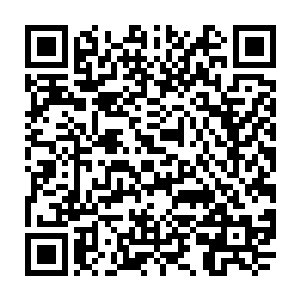 这两天的时间龙傲天将以前没有使用的果子还有这次收集的果子都念成了酒二维码生成