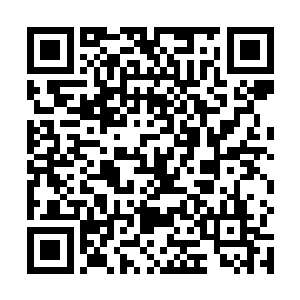 这个上古种族和盘古族一样拥有大规模心电感应的能力二维码生成