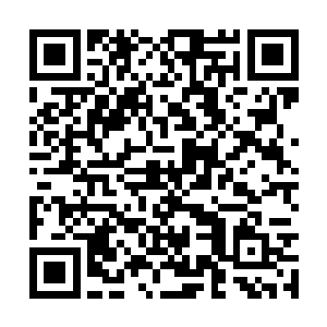 这个位置在这些神仙的眼里面根本就连屁都算不上二维码生成