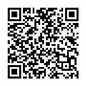 这个女人平时抓蛇的时候想来也不会比这利索到哪里去了二维码生成