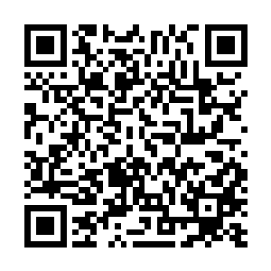 这个家伙并没有从哪个女妖的身上感受到多么强大的力量二维码生成