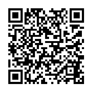 这个惊喜还没有彻底完成的时候就让燕飞晴看见了二维码生成