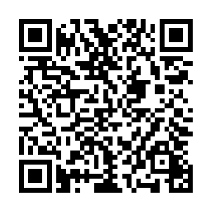这个房间的墙壁和我办公室房间的墙壁可是经过特殊设计的二维码生成