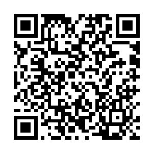 这个时候他们已经想起了在刚刚进入到这个空间的时候二维码生成