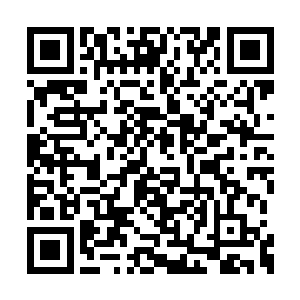 这个时候她就有点后悔刚才默认和龙野一起回来二维码生成