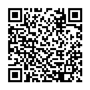 这个时候御兽门的那帮人应该已经发现不妥之处了二维码生成