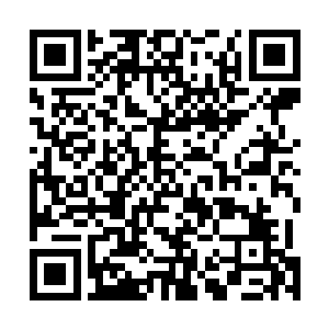 这个时候换成金光城一脉的人来带领怀远堂众多子弟拜贺二维码生成