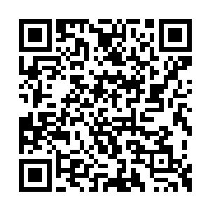 这个明处不是说让他真刀实枪的与郑卫华对着干二维码生成