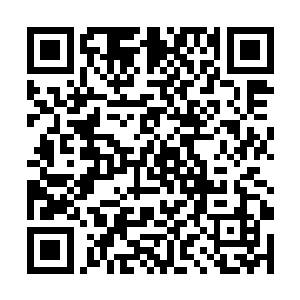 这个杨辰……根本就是在胡乱地破坏我们华夏的利益二维码生成