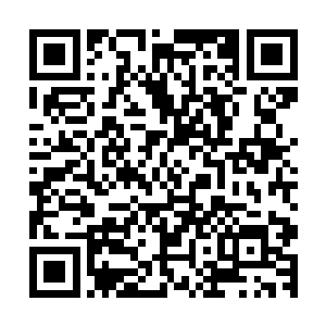 这个生物基因的研究项目主要就是由小野次郎和朴恩泽负责的二维码生成