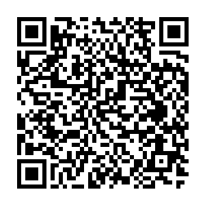这个用九天甘霖浇灌出来的仙柳树枝编出来的筐里面的东西就是你们的了二维码生成