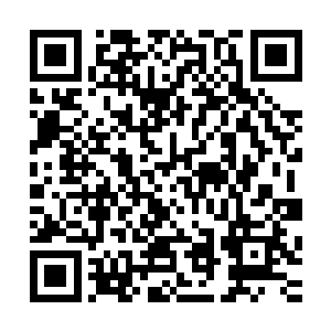 这个老怪物意识到了身后那个神灵秘境的裂缝有多么的恐怖了二维码生成