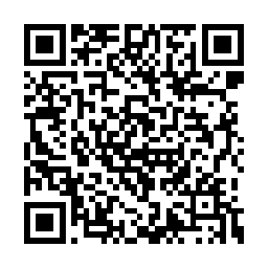 这个艰巨的任务还是得交给淘宝拳和皮野绫才行二维码生成