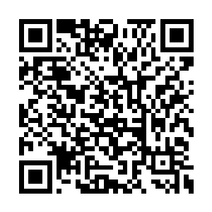 这个节目配合新闻联播上关于天下第一味的报道二维码生成