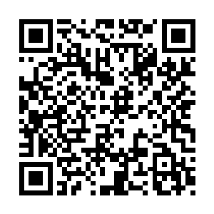 这个蒋梦蝶一点都没有她姐姐蒋玉蝶的善解人意二维码生成