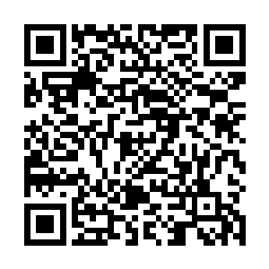 这个血腥玛丽组织的任务完成率也并非就是准确的数值二维码生成