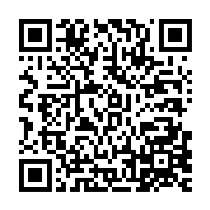这个被称为内围的迷宫可不是外围那只是无数通道组成的小儿科二维码生成