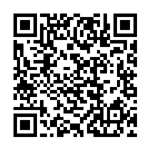 这个设定在游戏说明和新模式详细介绍中可以查询到二维码生成