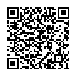 这个阵法用不了几天的时间就会被那头魔兽破坏二维码生成