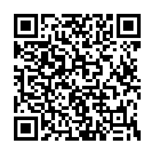 这么被一个小姑娘盯着像是观赏国宝一般的看的二维码生成