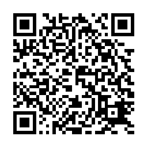 这也就等于将对方体内的恶魔种子变身的机会给抹杀掉了啊二维码生成