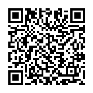 这也是一直以来为什么梓箐只专注提升自己的战斗值二维码生成