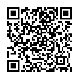 这也是专门为配合洛离修炼金浮屠所颁发的奖励二维码生成
