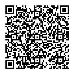 这也是为什么卡佩罗会在赛前公开支持伊布拉希莫维奇叫板荣光的原因了――如果不是因为这个二维码生成