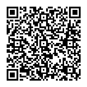 这也是为什么250机甲团能被成功塞进这么多顶级机甲师的原因……那是没办法的办法二维码生成