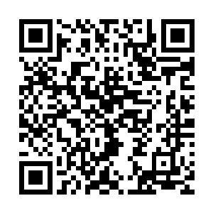 这也是大多数文化公司注重第一周销量与第一个月销量的原因二维码生成
