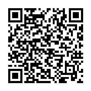 这也是最后能救他大小姐的机会了…………他须没看见二维码生成