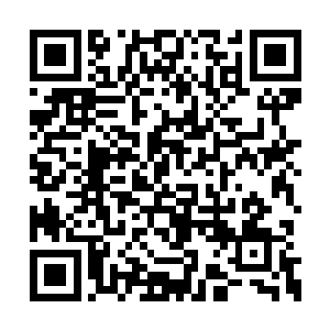 这也是楚暮为何敢冒险动用一丝湮灭剑意的缘故二维码生成