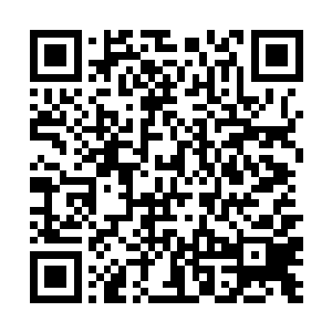 这也是米大校为何不在旁观席上而在大厅等待的原因二维码生成